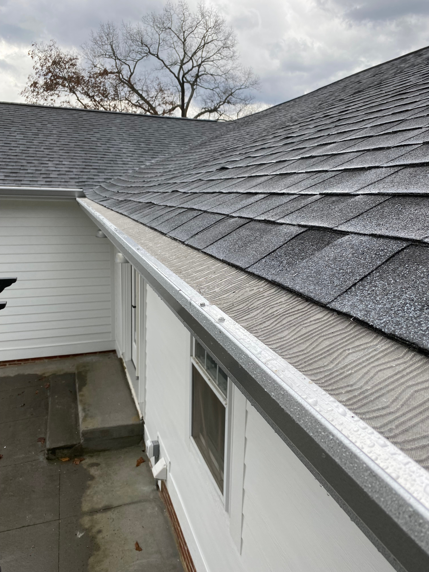 Gutter cleaning service